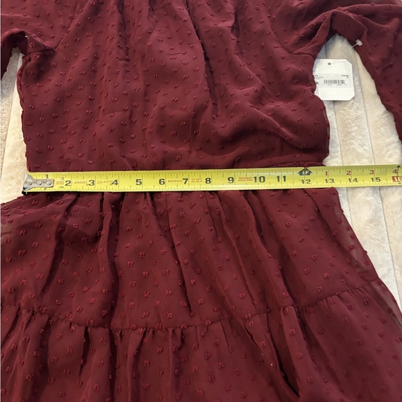 Altr’d State Josie clip dot dress - S - Picture 8 of 8